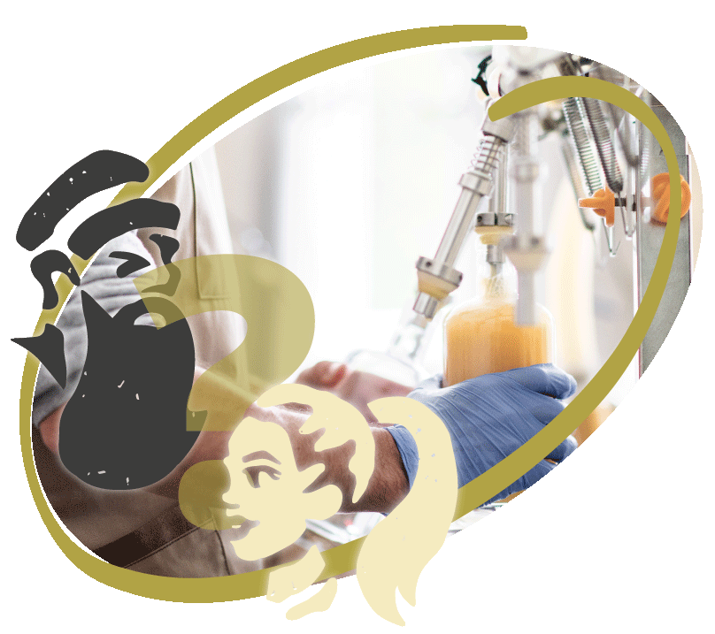 Productieproces Banner